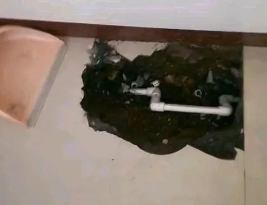 安州卫生间测漏水多少钱